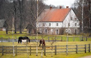 Benefity kremeliny v starostlivosti o zvieratá